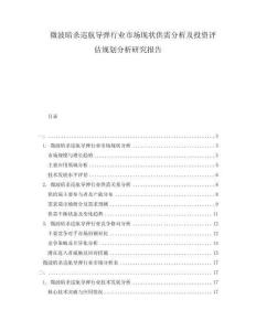 微波暗殺巡航導(dǎo)彈行業(yè)市場(chǎng)現(xiàn)狀供需分析及投資評(píng)估規(guī)劃分析研究報(bào)告