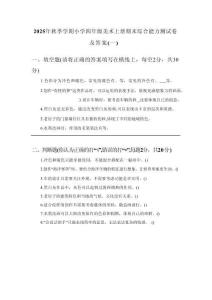 2025年秋季學(xué)期小學(xué)四年級(jí)美術(shù)上冊(cè)期末綜合能力測(cè)試卷及答案（三套）