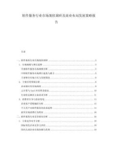 軟件服務(wù)行業(yè)市場(chǎng)現(xiàn)狀調(diào)研及商業(yè)布局發(fā)展策略報(bào)告