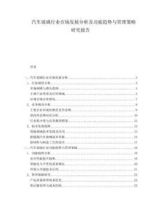 汽車玻璃行業(yè)市場發(fā)展分析及功能趨勢與管理策略研究報告