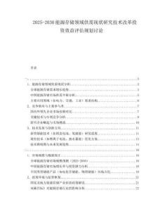 2025-2030能源存儲領域供需現(xiàn)狀研究技術改革投資效益評估規(guī)劃討論