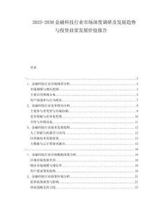 2025-2030金融科技行業(yè)市場深度調(diào)研及發(fā)展趨勢與投資前景發(fā)展價值報告