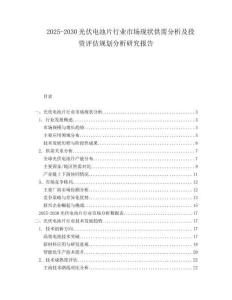 2025-2030光伏電池片行業(yè)市場(chǎng)現(xiàn)狀供需分析及投資評(píng)估規(guī)劃分析研究報(bào)告