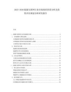 2025-2030能源互聯(lián)網(wǎng)行業(yè)市場現(xiàn)狀供需分析及投資評估規(guī)劃分析研究報告