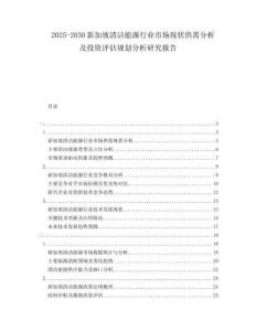 2025-2030新加坡清潔能源行業(yè)市場(chǎng)現(xiàn)狀供需分析及投資評(píng)估規(guī)劃分析研究報(bào)告