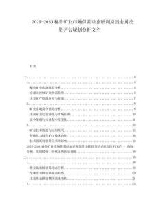 2025-2030秘魯?shù)V業(yè)市場供需動態(tài)研判及貴金屬投資評估規(guī)劃分析文件