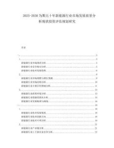 2025-2030為期五十年新能源行業(yè)市場(chǎng)發(fā)展前景分析現(xiàn)狀投資評(píng)估規(guī)劃研究