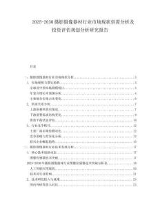 2025-2030攝影攝像器材行業(yè)市場現(xiàn)狀供需分析及投資評估規(guī)劃分析研究報告
