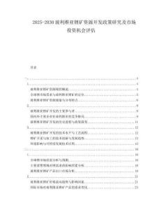2025-2030玻利維亞鋰礦資源開發(fā)政策研究及市場投資機(jī)會評估