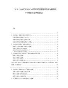 2025-2030紡織業(yè)產(chǎn)業(yè)循環(huán)經(jīng)濟循環(huán)經(jīng)濟與精細化產(chǎn)業(yè)鏈滲透分析報告