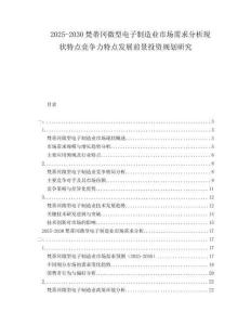 2025-2030梵蒂岡微型電子制造業(yè)市場(chǎng)需求分析現(xiàn)狀特點(diǎn)競(jìng)爭(zhēng)力特點(diǎn)發(fā)展前景投資規(guī)劃研究