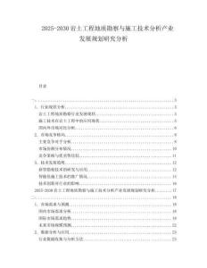 2025-2030巖土工程地質(zhì)勘察與施工技術(shù)分析產(chǎn)業(yè)發(fā)展規(guī)劃研究分析