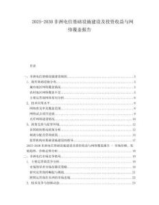 2025-2030非洲電信基礎(chǔ)設(shè)施建設(shè)及投資收益與網(wǎng)絡(luò)覆蓋報告