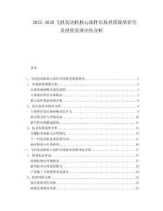 2025-2030飛機(jī)發(fā)動(dòng)機(jī)核心部件市場(chǎng)供需現(xiàn)狀研究及投資發(fā)展評(píng)估分析