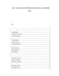 2025-2030低空經(jīng)濟快遞行業(yè)市場開發(fā)與運營策略分析