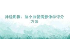 神經(jīng)影像：腦小血管病影像學(xué)評(píng)分方法