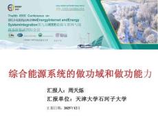 2025年綜合能源系統的做功域和做功能力報告-石河子大學（周天爍）