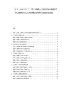 2025-2030非洲三十國元首峰會安保服務市場供需暴力恐怖活動態(tài)勢分析及集體防御投資規(guī)劃