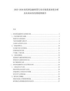 2025-2030南美洲金融租賃行業(yè)市場需求深度分析及未來業(yè)務(wù)發(fā)展趨勢報告