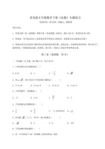 達(dá)標(biāo)測試青島版8年級數(shù)學(xué)下冊《實數(shù)》專題練習(xí)試題（含解析）