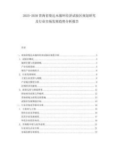 2025-2030青海省柴達(dá)木循環(huán)經(jīng)濟(jì)試驗(yàn)區(qū)規(guī)劃研究及行業(yè)市場(chǎng)發(fā)展趨勢(shì)分析報(bào)告