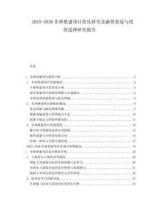 2025-2030非洲基建項(xiàng)目優(yōu)化研究及融資渠道與投資選擇研究報(bào)告