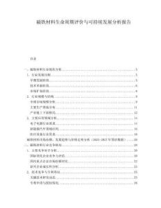 磁鐵材料生命周期評價與可持續(xù)發(fā)展分析報告