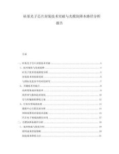 硅基光子芯片封裝技術(shù)突破與光模塊降本路徑分析報告