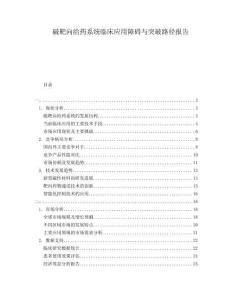 磁靶向給藥系統(tǒng)臨床應(yīng)用障礙與突破路徑報(bào)告