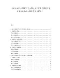 2025-2030中國智能無人駕駛卡車行業(yè)市場深度調(diào)研及行業(yè)趨勢與投資發(fā)展分析報告
