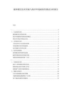 磁體鍍層技術(shù)突破與海洋環(huán)境耐候性測(cè)試分析報(bào)告