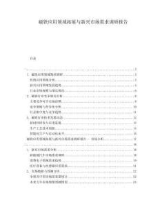 磁鐵應(yīng)用領(lǐng)域拓展與新興市場需求調(diào)研報(bào)告