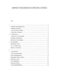 磁鐵細分市場發(fā)展現(xiàn)狀及未來增長潛力分析報告