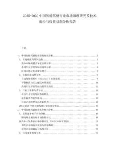 2025-2030中國(guó)智能駕駛行業(yè)市場(chǎng)深度研究及技術(shù)前沿與投資動(dòng)態(tài)分析報(bào)告