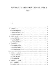 磁疇觀測(cè)技術(shù)在材料缺陷檢測(cè)中的工業(yè)化應(yīng)用前景報(bào)告
