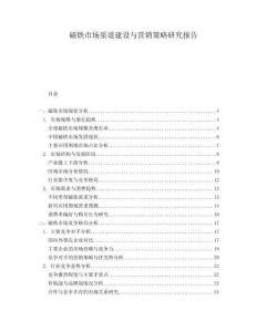 磁鐵市場渠道建設(shè)與營銷策略研究報告