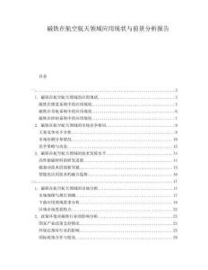 磁鐵在航空航天領(lǐng)域應(yīng)用現(xiàn)狀與前景分析報告