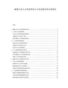磁鐵行業(yè)人才需求變化與專業(yè)技能培養(yǎng)分析報(bào)告