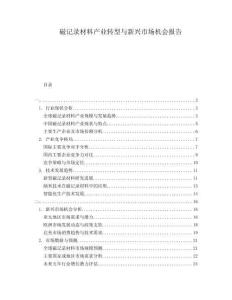 磁記錄材料產(chǎn)業(yè)轉(zhuǎn)型與新興市場(chǎng)機(jī)會(huì)報(bào)告