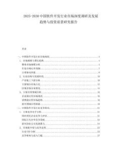2025-2030中國軟件開發(fā)行業(yè)市場深度調(diào)研及發(fā)展趨勢與投資前景研究報告