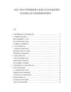 2025-2030中國智能機器人機器人行業(yè)市場深度研究及創(chuàng)新方向與投資趨勢研究報告