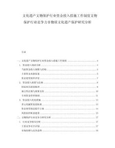 文化遺產文物保護行業(yè)資金投入措施工作制度文物保護行業(yè)競爭力非物質文化遺產保護研究分析