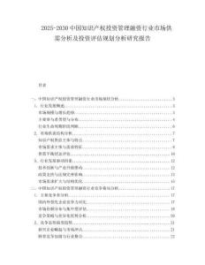 2025-2030中國知識(shí)產(chǎn)權(quán)投資管理融資行業(yè)市場(chǎng)供需分析及投資評(píng)估規(guī)劃分析研究報(bào)告