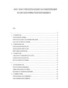 2025-2030中國光伏發(fā)電設(shè)備行業(yè)市場供需構(gòu)成研究分析及資本增值評估階段性規(guī)劃報告