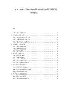 2025-2030中國冶金行業(yè)技術(shù)革新與市場發(fā)展趨勢研究報告
