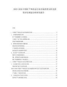 2025-2030中國礦產(chǎn)和冶金行業(yè)市場供需分析及投資評估規(guī)劃分析研究報告