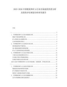 2025-2030中國煤炭和礦山行業(yè)市場現(xiàn)狀供需分析及投資評估規(guī)劃分析研究報(bào)告
