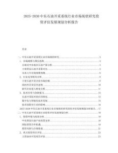 2025-2030中東石油開采系統(tǒng)行業(yè)市場現(xiàn)狀研究投資評估發(fā)展規(guī)劃分析報告