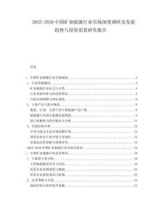 2025-2030中國礦業(yè)能源行業(yè)市場(chǎng)深度調(diào)研及發(fā)展趨勢(shì)與投資前景研究報(bào)告