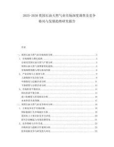 2025-2030英國石油天然氣業(yè)市場深度調(diào)查及競爭格局與發(fā)展趨勢研究報告